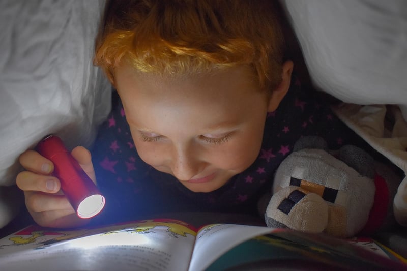 Headlamp/Flashlight